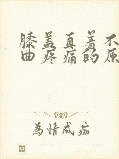 膝盖直着不痛弯曲疼痛的原因