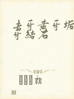 去牙黄牙垢烟渍牙结石