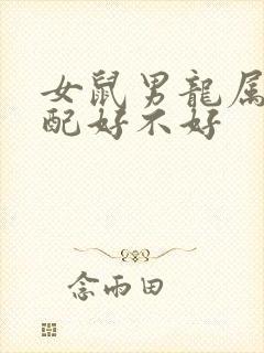 女鼠男龙属相婚配好不好