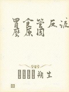 胃食管反流是什么原因