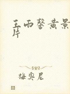 王雨馨黄景瑜照片