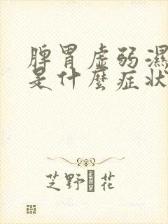 脾胃虚弱湿气重是什么症状