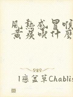 风热感冒喉咙痛黄痰吃什么药好得快