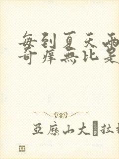 每到夏天两小腿奇痒无比是什么