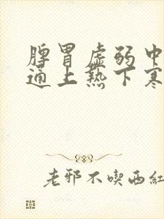 脾胃虚弱中焦不通上热下寒