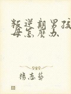 叛逆期男孩骂父母怎么办