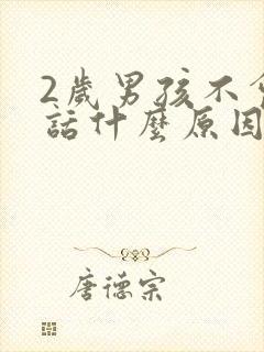 2岁男孩不会说话什么原因