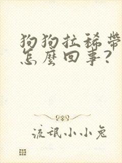 狗狗拉稀带血是怎么回事?