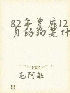 82年农历12月的狗是什么命