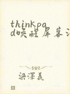 thinkpad唤醒屏幕没反应