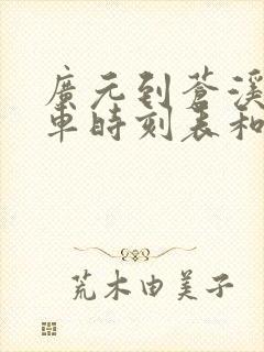 广元到苍溪的汽车时刻表和票价封面