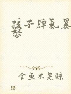 孩子脾气暴躁易怒封面