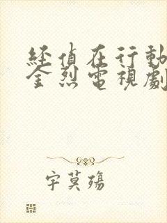 经侦在行动之黑金烈电视剧免费观看