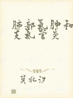 肺部气肿和慢性支气管炎