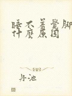 睡不着觉脚出汗什么原因封面