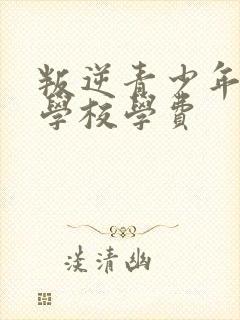 叛逆青少年特训学校学费