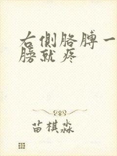 右侧胳膊一抬肩膀就疼