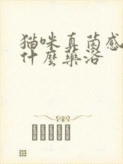 猫咪真菌感染用什么药浴