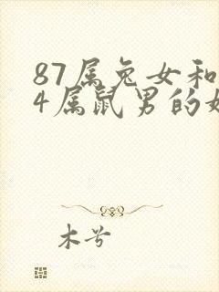 87属兔女和84属鼠男的婚姻怎样