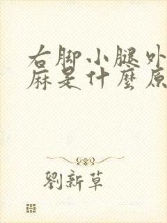 右脚小腿外侧发麻是什么原因封面