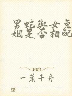 男蛇与女兔的婚姻是否相配财运怎样