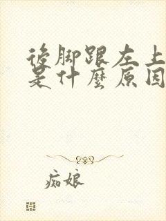 后脚跟左上侧痛是什么原因