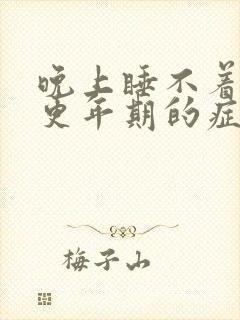 晚上睡不着觉是更年期的症状吗