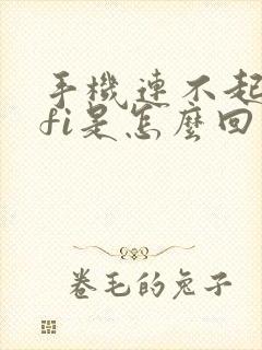 手机连不起wifi是怎么回事儿