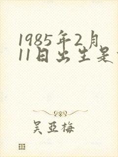 1985年2月11日出生是什么命