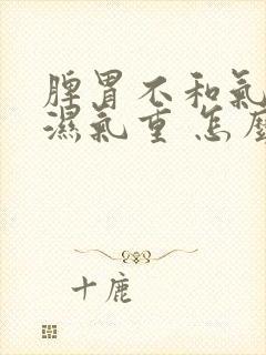 脾胃不和气血虚湿气重 怎么办