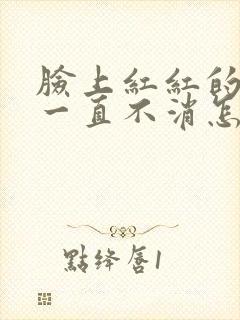 脸上红红的痘印一直不消怎么办封面