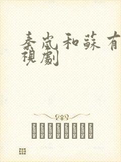 秦岚和苏有朋电视剧