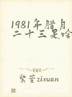 1981年腊月二十三是啥命