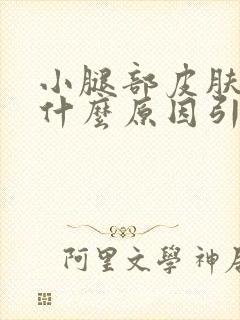 小腿部皮肤痒是什么原因引起的封面