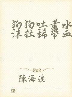 狗狗吐黄水带泡沫拉稀带血