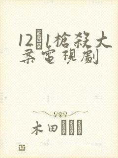 12·1枪杀大案电视剧