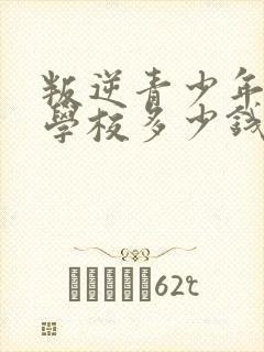 叛逆青少年封闭学校多少钱