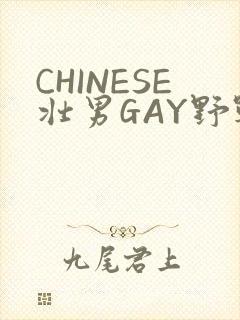 CHINESE壮男GAY野战强迫TUBE封面