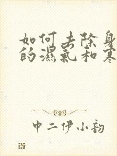 如何去除身体里的湿气和寒气