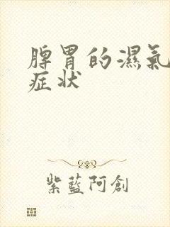 脾胃的湿气重的症状