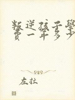 叛逆孩子学校学费一年多少