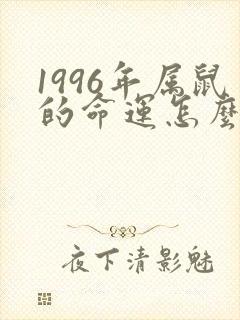 1996年属鼠的命运怎么样