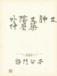 外阴又肿又疼擦什么药