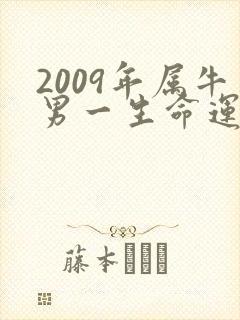2009年属牛男一生命运怎么