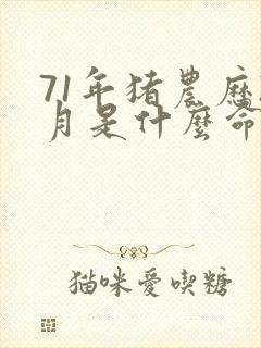 71年猪农历2月是什么命