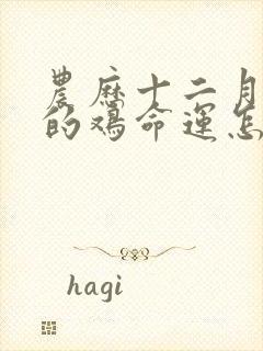 农历十二月出生的鸡命运怎样