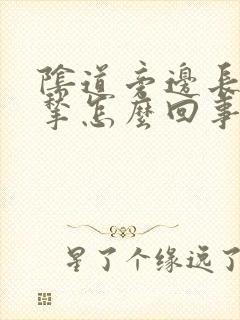 阴道旁边长个肉揪怎么回事封面