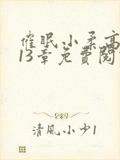 催眠小柔高达第13章免费阅读