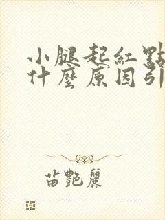 小腿起红点痒是什么原因引起的