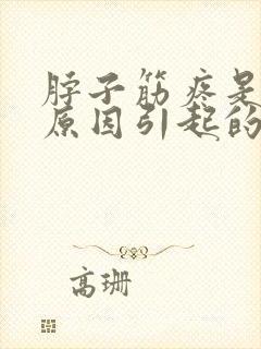 脖子筋疼是什么原因引起的